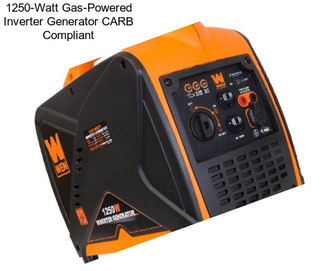 1250-Watt Gas-Powered Inverter Generator CARB Compliant