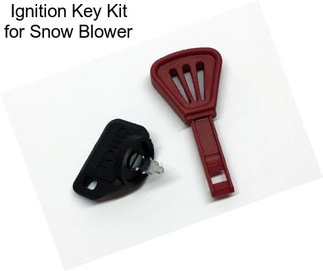 Ignition Key Kit for Snow Blower