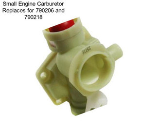 Small Engine Carburetor Replaces for 790206 and 790218