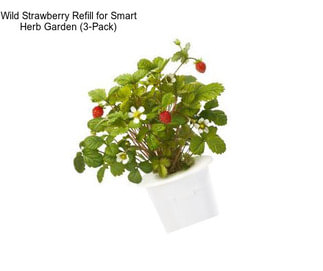 Wild Strawberry Refill for Smart Herb Garden (3-Pack)