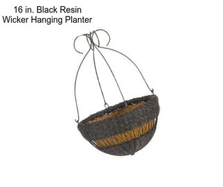 16 in. Black Resin Wicker Hanging Planter