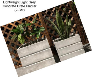 Lightweight Light Grey Concrete Crate Planter (2-Set)