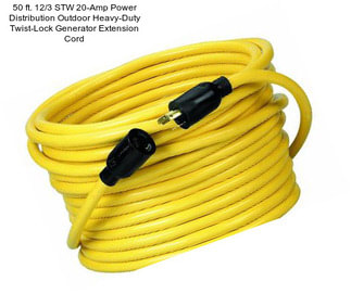 50 ft. 12/3 STW 20-Amp Power Distribution Outdoor Heavy-Duty Twist-Lock Generator Extension Cord