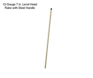 12-Gauge 7 in. Level Head Rake with Steel Handle