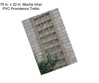 75 in. x 22 in. Mocha Vinyl PVC Providence Trellis