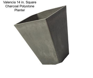 Valencia 14 in. Square Charcoal Polystone Planter