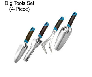 Dig Tools Set (4-Piece)