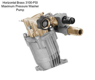 Horizontal Brass 3100-PSI Maximum Pressure Washer Pump