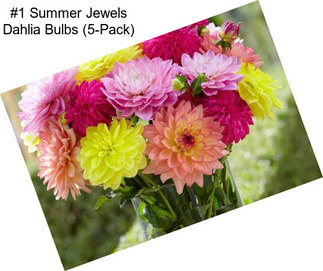 #1 Summer Jewels Dahlia Bulbs (5-Pack)