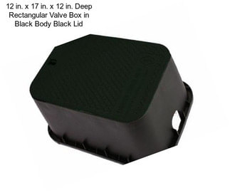 12 in. x 17 in. x 12 in. Deep Rectangular Valve Box in Black Body Black Lid