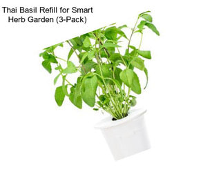 Thai Basil Refill for Smart Herb Garden (3-Pack)