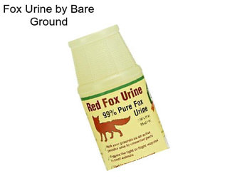 Fox Urine by Bare Ground