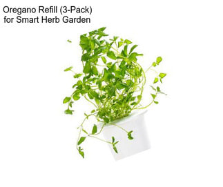 Oregano Refill (3-Pack) for Smart Herb Garden