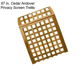 67 in. Cedar Andover Privacy Screen Trellis