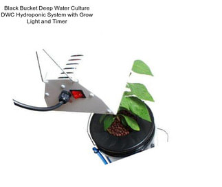 Black Bucket Deep Water Culture DWC Hydroponic System with Grow Light and Timer