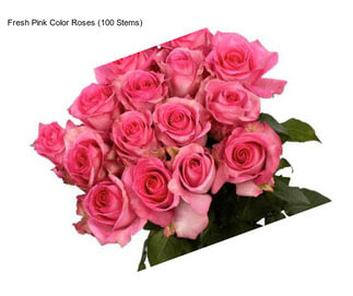 Fresh Pink Color Roses (100 Stems)