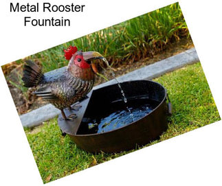 Metal Rooster Fountain