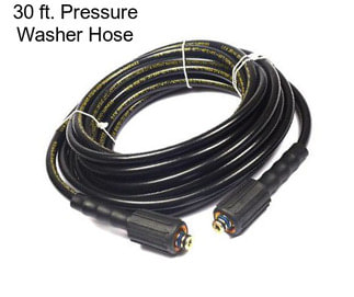 30 ft. Pressure Washer Hose