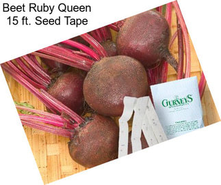 Beet Ruby Queen 15 ft. Seed Tape