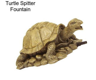 Turtle Spitter Fountain