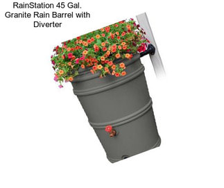 RainStation 45 Gal. Granite Rain Barrel with Diverter