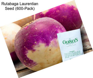 Rutabaga Laurentian Seed (600-Pack)