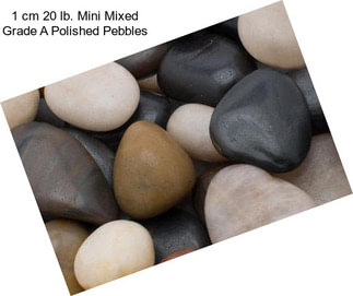 1 cm 20 lb. Mini Mixed Grade A Polished Pebbles