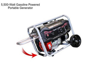 5,500-Watt Gasoline Powered Portable Generator