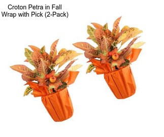 Croton Petra in Fall Wrap with Pick (2-Pack)