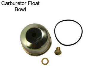 Carburetor Float Bowl