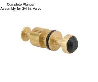 Complete Plunger Assembly for 3/4 in. Valve