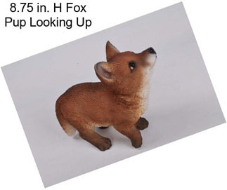 8.75 in. H Fox Pup Looking Up