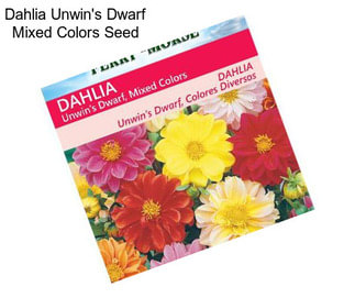 Dahlia Unwin\'s Dwarf Mixed Colors Seed