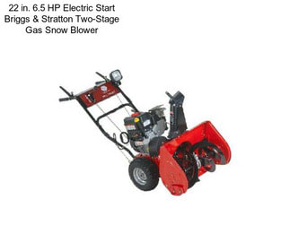 22 in. 6.5 HP Electric Start Briggs & Stratton Two-Stage Gas Snow Blower