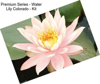 Premium Series - Water Lily Colorado - Kit