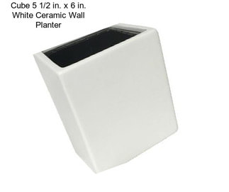 Cube 5 1/2 in. x 6 in. White Ceramic Wall Planter