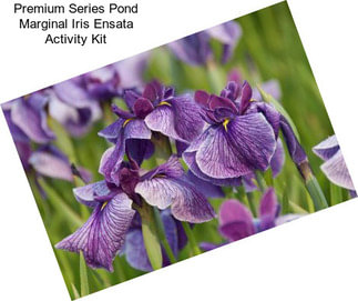 Premium Series Pond Marginal Iris Ensata Activity Kit