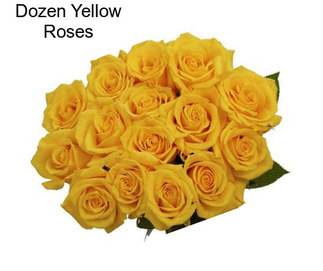 Dozen Yellow Roses