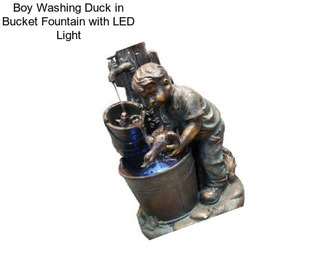 Boy Washing Duck in Bucket Fountain with LED Light