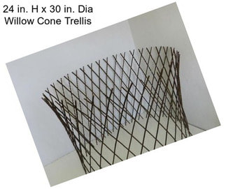 24 in. H x 30 in. Dia Willow Cone Trellis