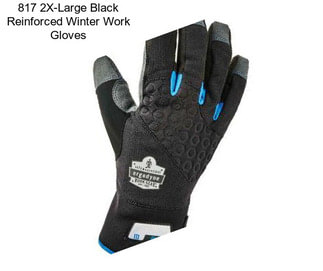 817 2X-Large Black Reinforced Winter Work Gloves