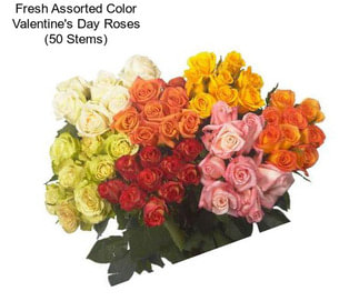 Fresh Assorted Color Valentine\'s Day Roses (50 Stems)