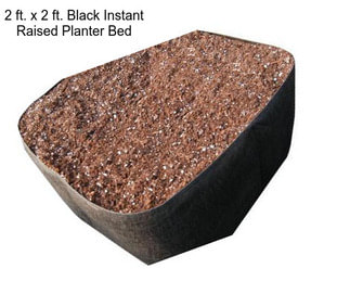 2 ft. x 2 ft. Black Instant Raised Planter Bed