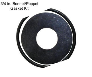 3/4 in. Bonnet/Poppet Gasket Kit