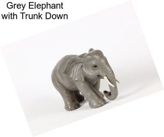 Grey Elephant with Trunk Down