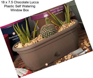 18 x 7.5 Chocolate Lucca Plastic Self Watering Window Box