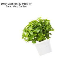 Dwarf Basil Refill (3-Pack) for Smart Herb Garden