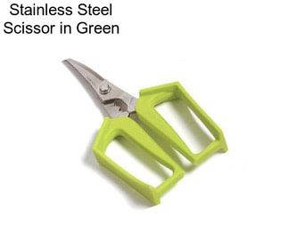 Stainless Steel Scissor in Green