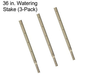 36 in. Watering Stake (3-Pack)