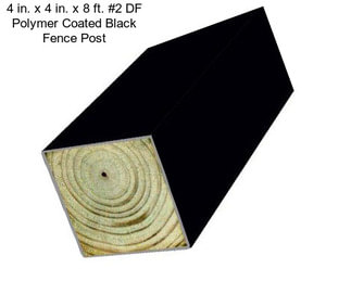 4 in. x 4 in. x 8 ft. #2 DF Polymer Coated Black Fence Post